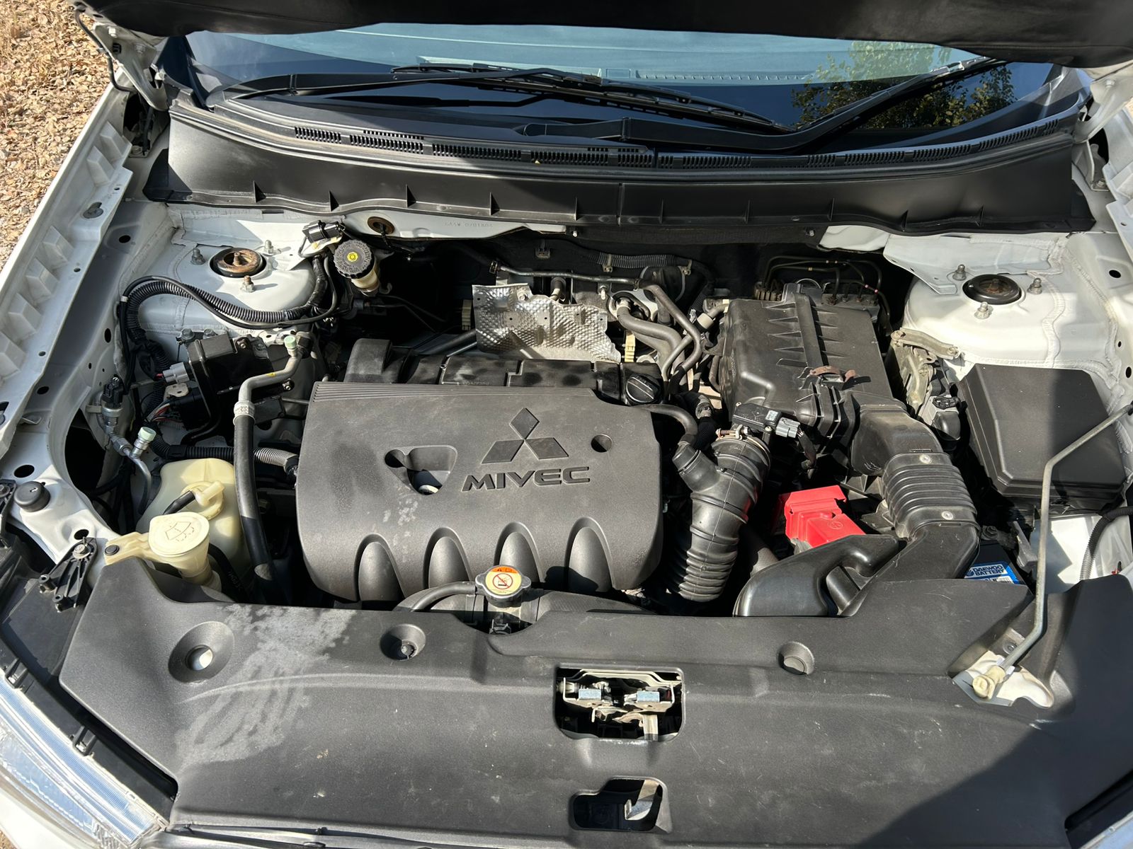 3cfc686b-b641-45d4-9ee5-402513bf435c